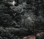 SPN_0788.jpg
