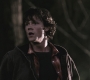 SPN_0812.jpg