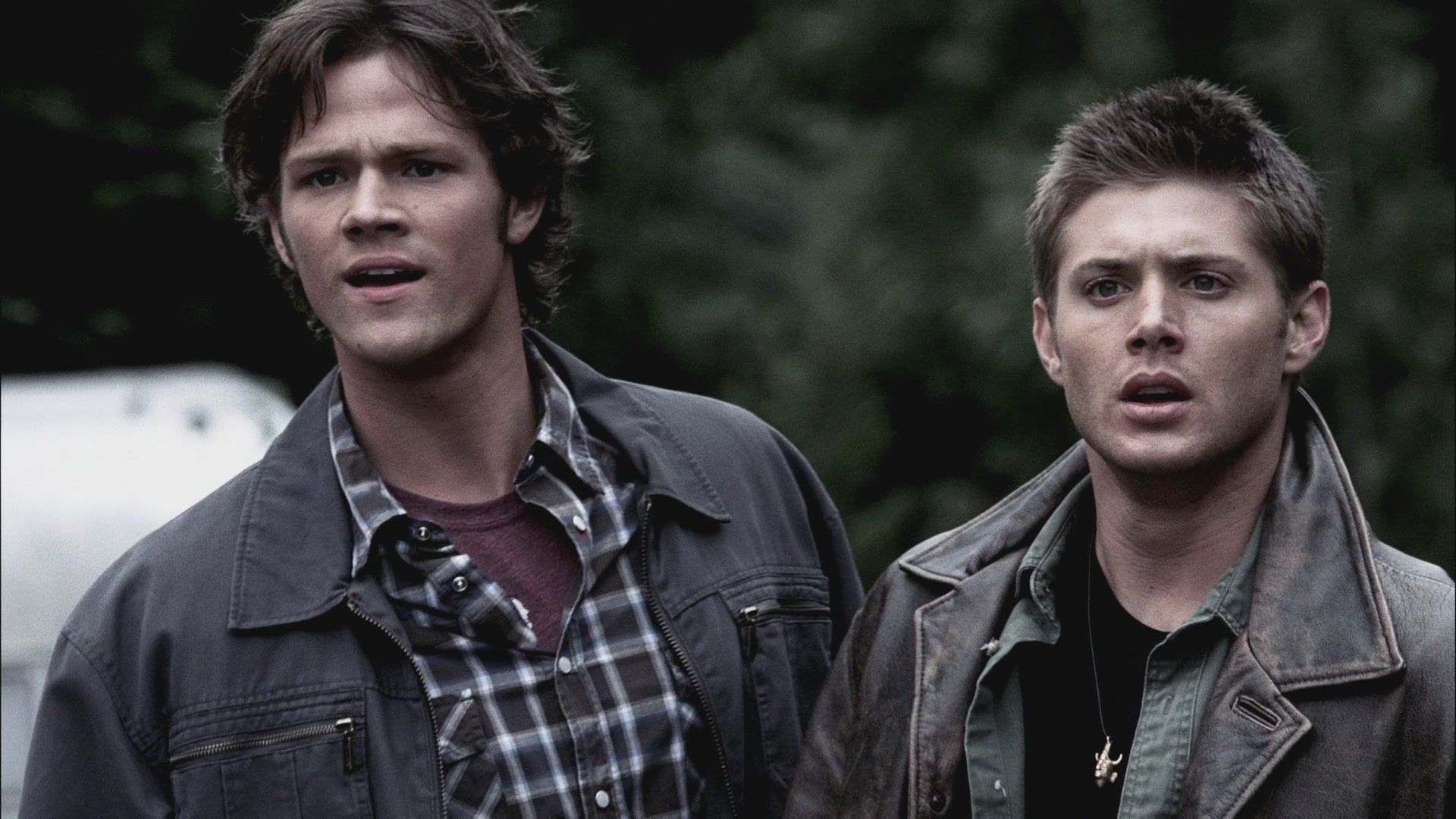 SPN_0689.jpg