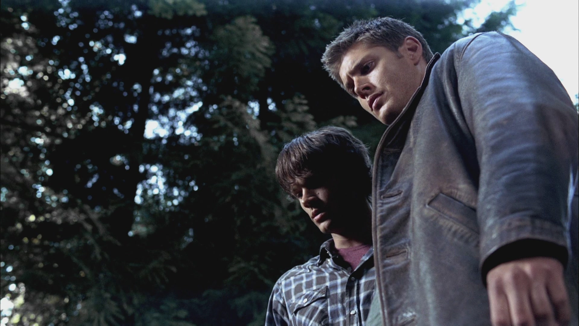 SPN_0901.jpg