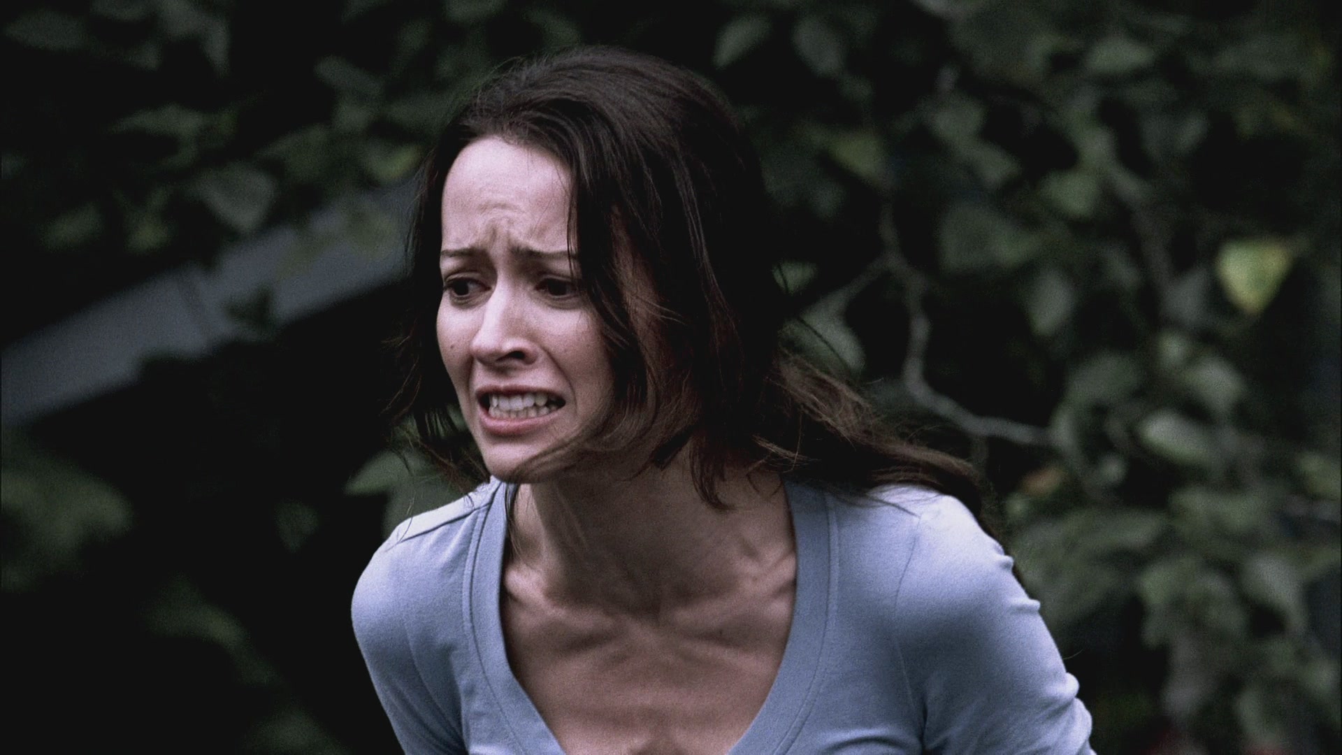 SPN_1009.jpg