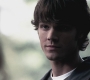 SPN_0395.jpg