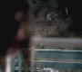 SPN_0924.jpg