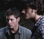 SPN_0955.jpg
