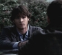 SPN_0367.jpg