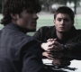 SPN_0368.jpg