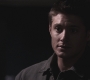 SPN_0595.jpg
