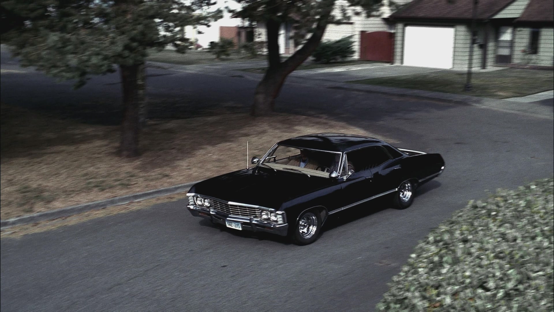 SPN_1049.jpg