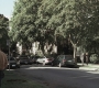 SPN_0181.jpg