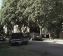 SPN_0182.jpg