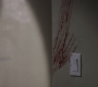 SPN_0320.jpg