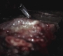SPN_0466.jpg