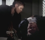 SPN_1008.jpg