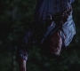 SPN_0130.jpg