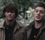 SPN_0179.jpg