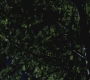SPN_0427.jpg