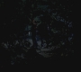 SPN_0433.jpg