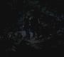 SPN_0435.jpg