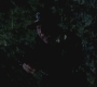 SPN_0438.jpg