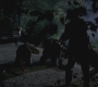 SPN_0444.jpg