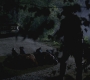 SPN_0445.jpg