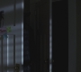 SPN_0452.jpg