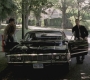SPN_0511.jpg
