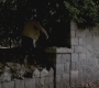 SPN_0515.jpg