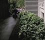 SPN_0521.jpg