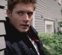 SPN_0528.jpg