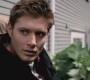 SPN_0530.jpg