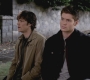 SPN_0595.jpg