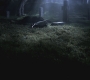 SPN_0671.jpg
