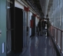 SPN_0797.jpg