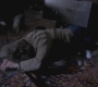 SPN_0964.jpg