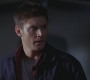 SPN_0981.jpg