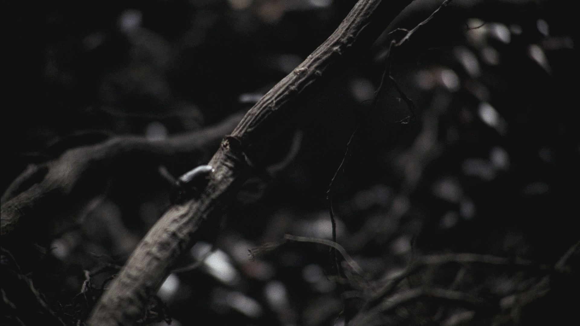 SPN_0032.jpg