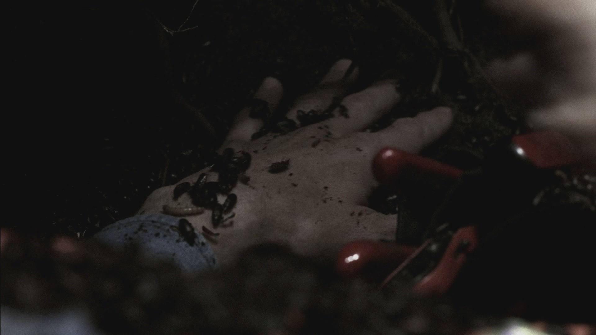 SPN_0035.jpg