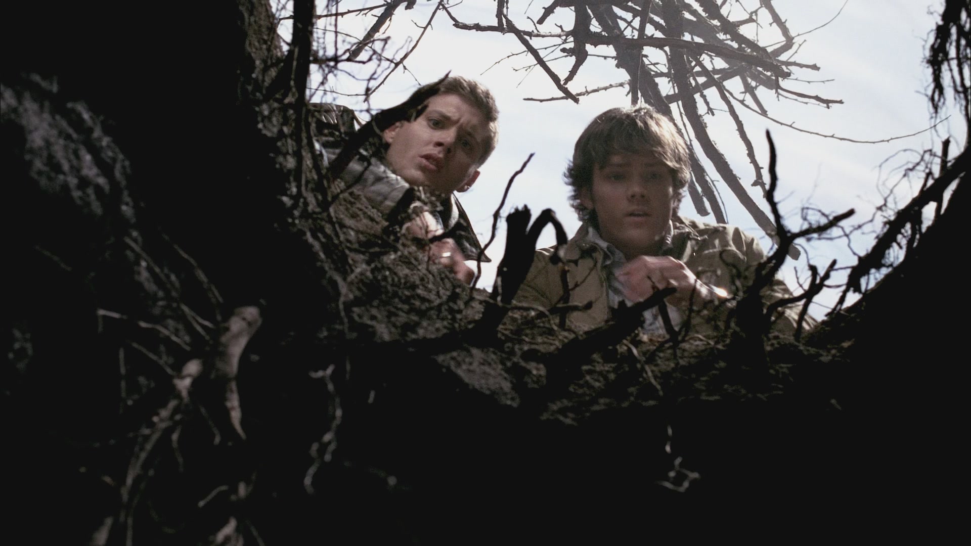 SPN_0156.jpg