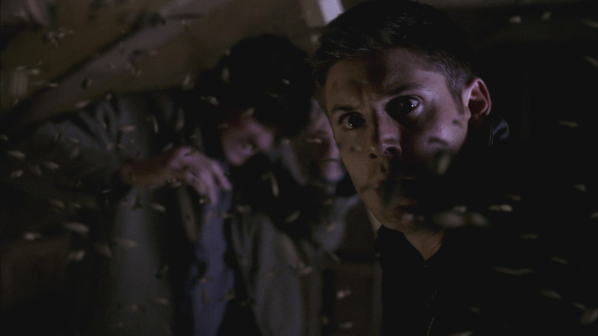 SPN_0986.jpg