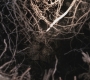 SPN_0154.jpg
