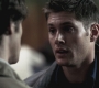 SPN_0342.jpg