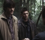 SPN_0512.jpg