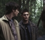 SPN_0515.jpg