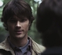 SPN_0524.jpg