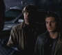SPN_0873.jpg