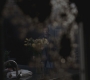 SPN_0940.jpg