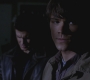 SPN_0951.jpg