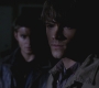 SPN_0952.jpg