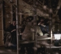 SPN_1003.jpg